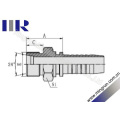 Metric Male Thread 24 Cone Seat Hydraulic Hose Fitting (10411)